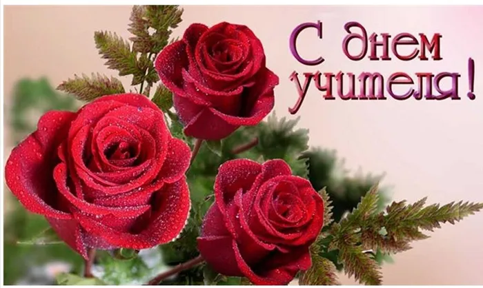 8ff08ab1a986346eed923d399d74e5a5