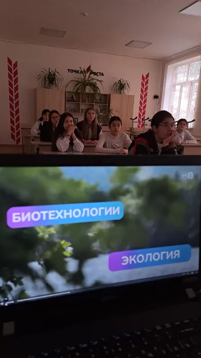 Изображение WhatsApp 2024-10-31 в 15.15.04_97283801