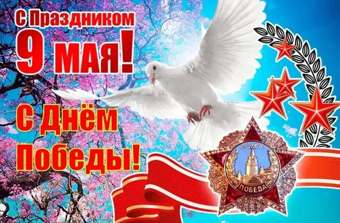Изображение WhatsApp 2024-05-09 в 09.13.57_f6b6eefe