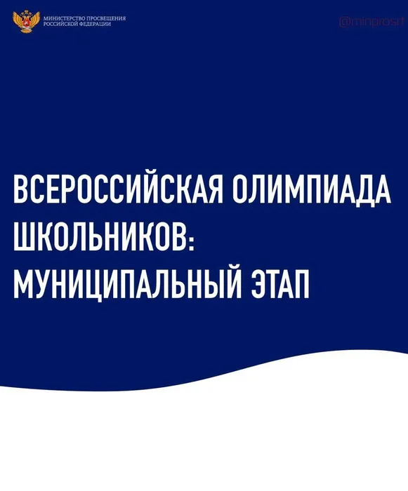 Изображение WhatsApp 2023-11-15 в 18.06.18_0980f448