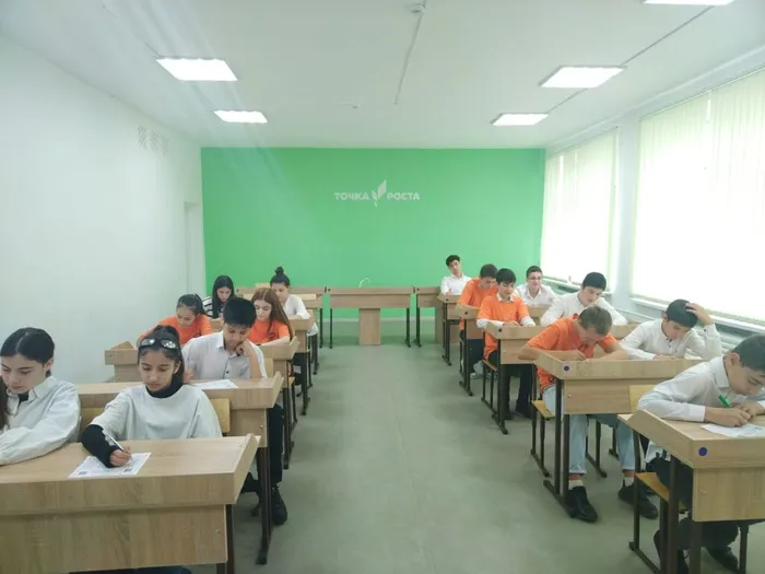 Изображение WhatsApp 2023-11-19 в 13.08.00_2862c3ab