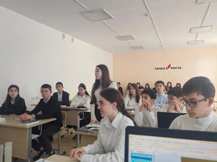Изображение WhatsApp 2024-11-20 в 12.05.53_c47e31e0